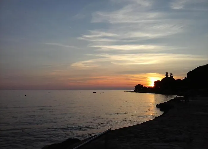 Sole *