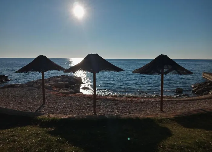 Sole *