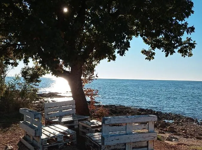 Sole *