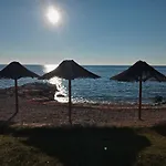 Sole *