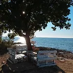 Sole *
